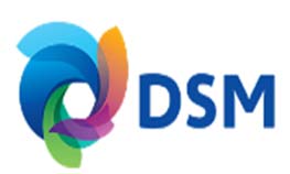 Saideli Клиент DSM